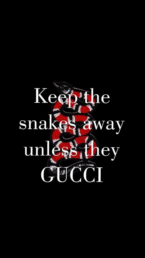 no snake unless the gucci qoute|dazed and confused Gucci.